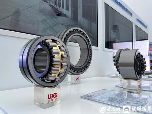 張百順巡看第三屆跨國公司領導人青島峰會聊城展區 展示區域魅力，共促開放合作