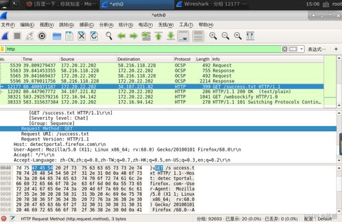 網(wǎng)絡(luò)嗅探技術(shù)在信息安全實(shí)驗(yàn)中的應(yīng)用與軟件開發(fā)實(shí)踐